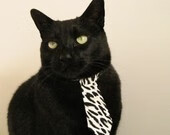 冰火两重天,灰熊横扫如寒冬凛冽,伦纳德炽热状态燃爆赛场