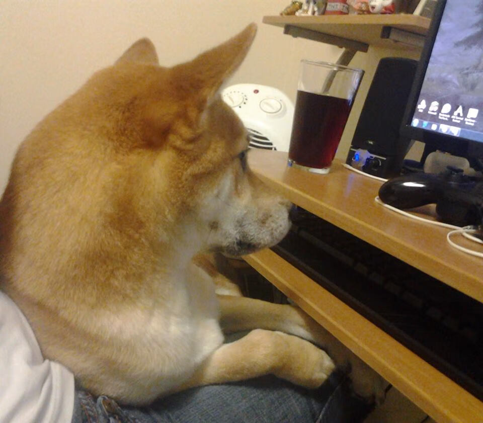 寒夜中的金童，佩德里率巴萨鏖战丹麦启示录