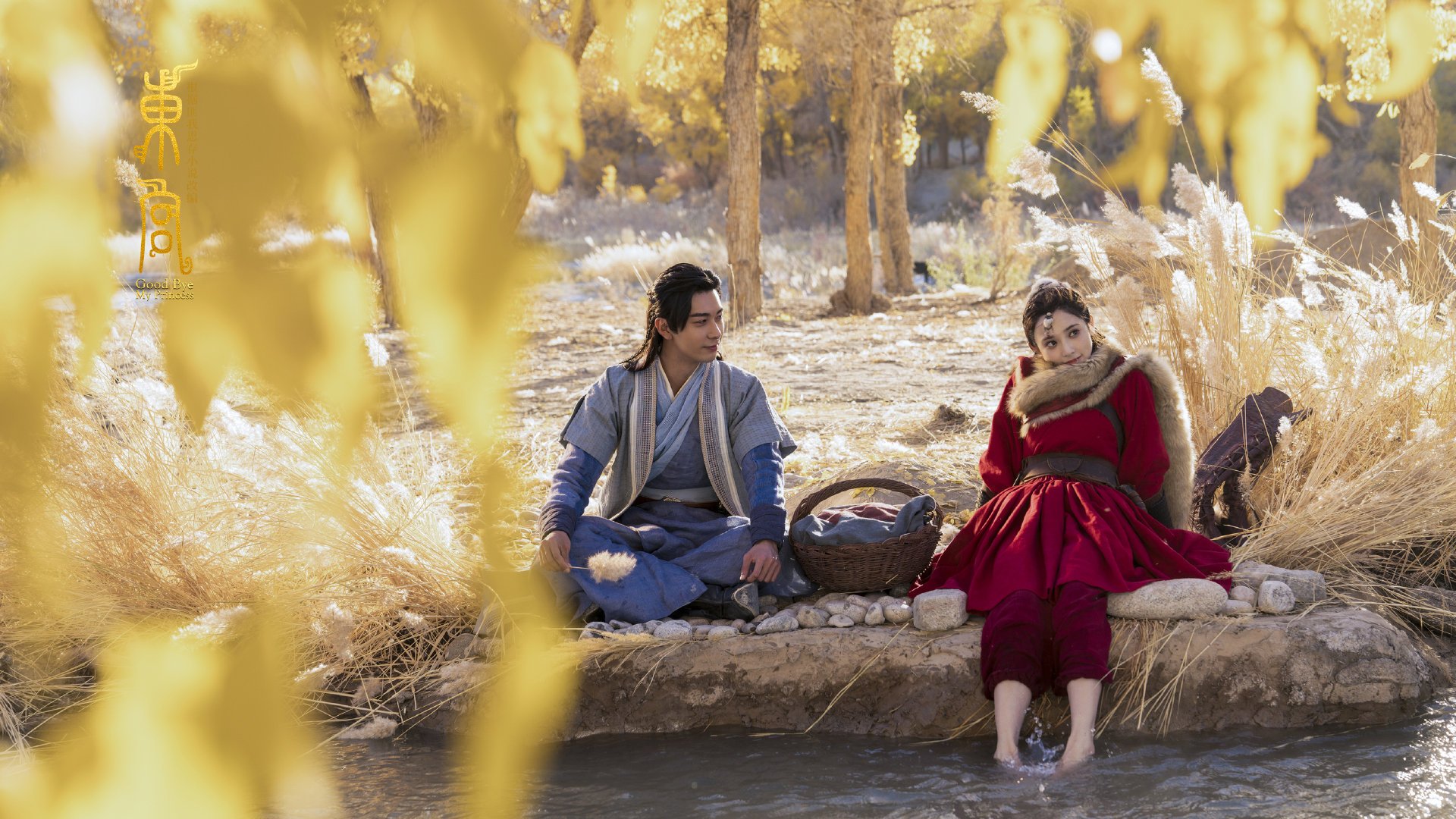 雪落麦迪逊，与君同销万古愁