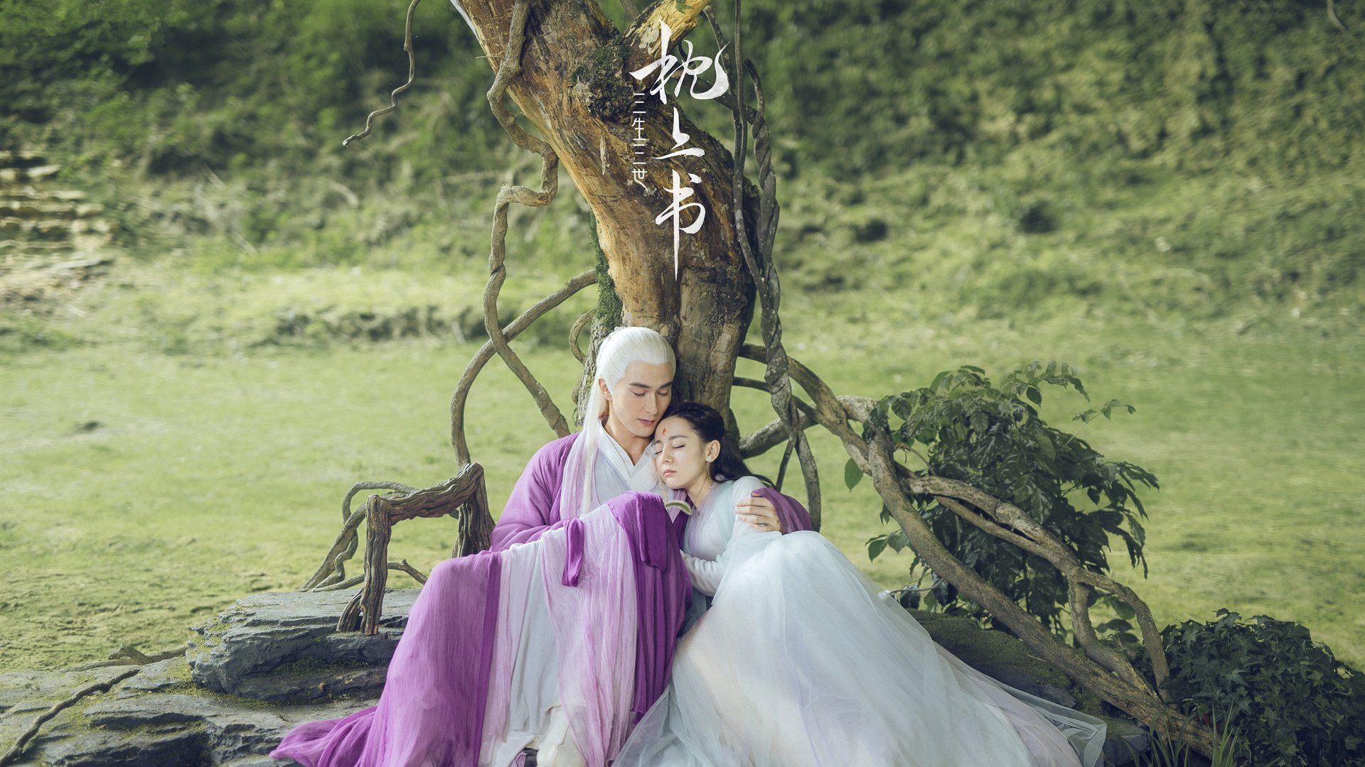 双线破壁,骑士的铁骑横扫与胡金秋的纪录之跃