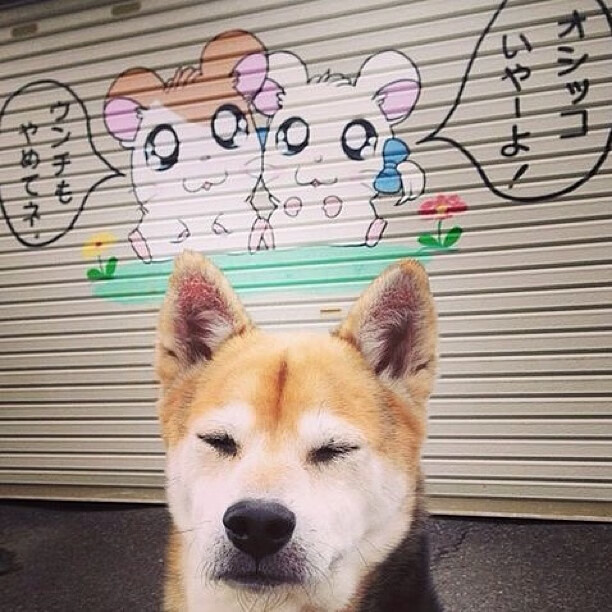 用绝对意志挑战历史尺度,团队背水一战,纳达尔震撼复出