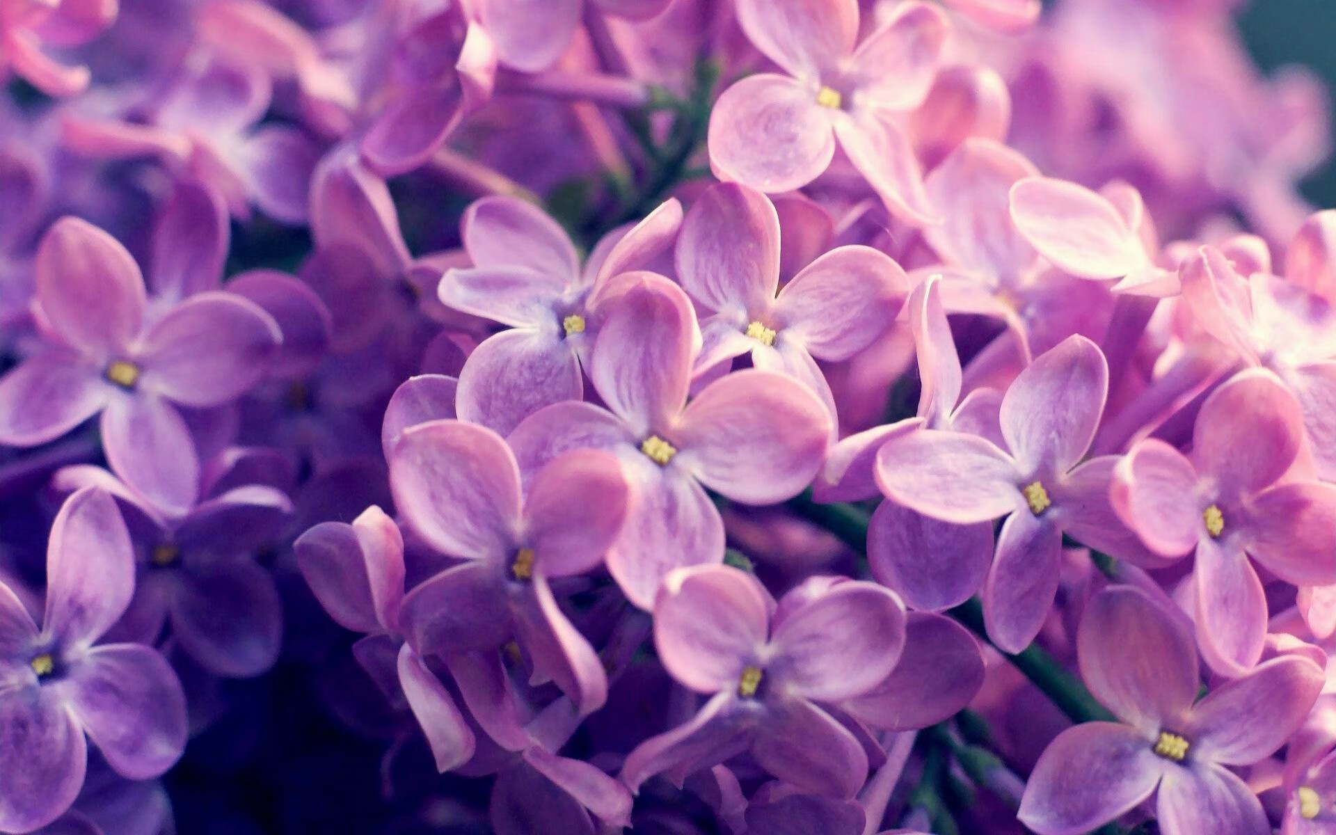 神话逆转,德布劳内何以在东方巨龙面前重塑欧洲王权