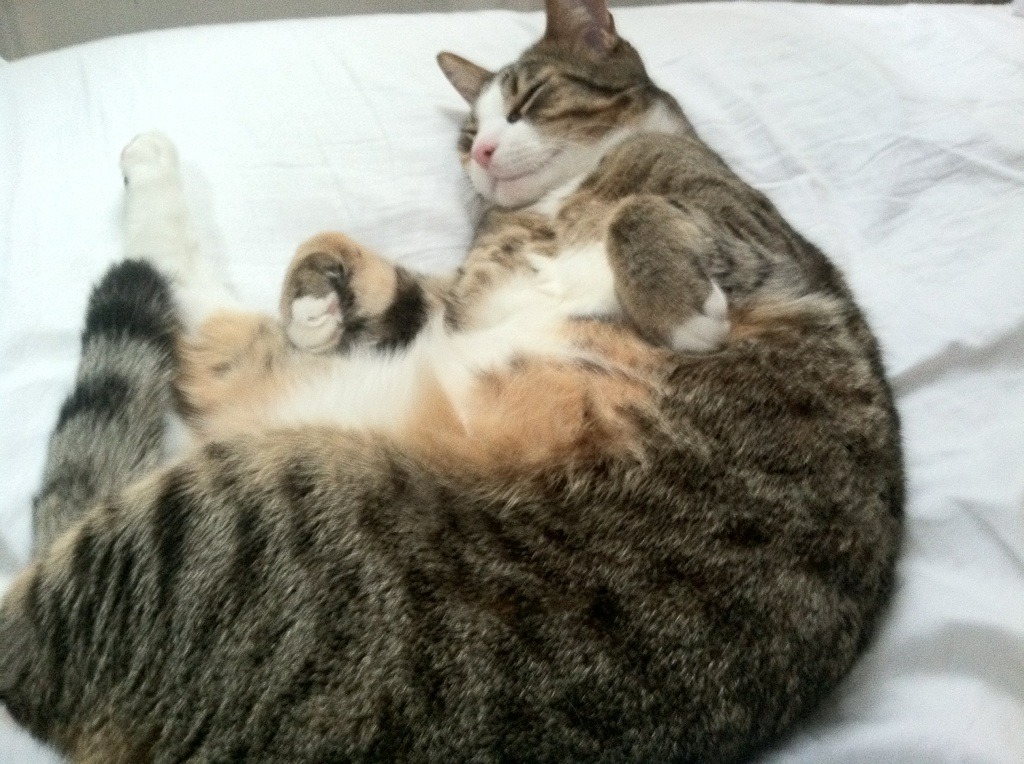 控场艺术，阿坎吉如何以无声的节奏，谱写塞维利亚的突围之夜