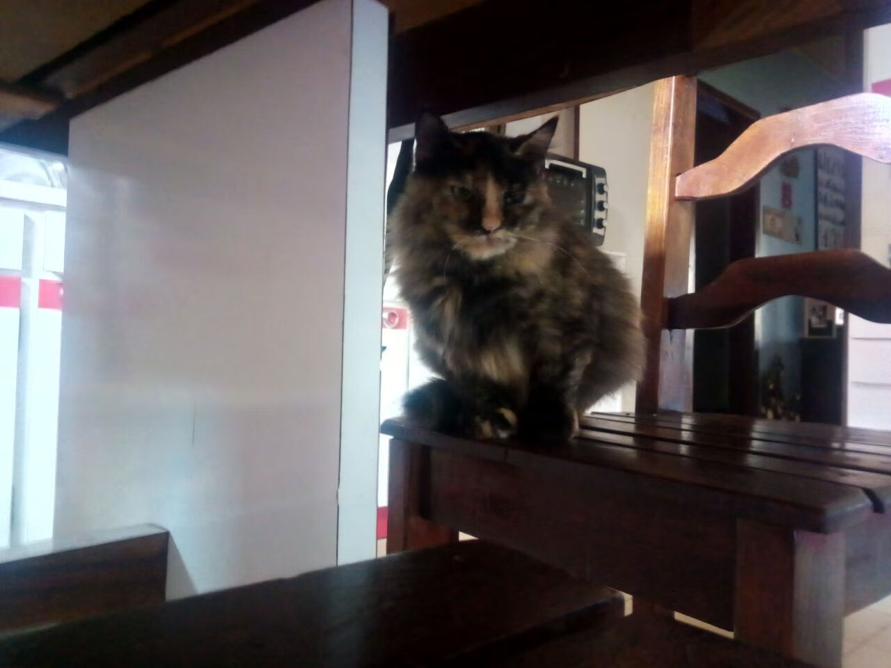 爱游戏下载-永夜诗人，克里斯·保罗的抢七炼金术