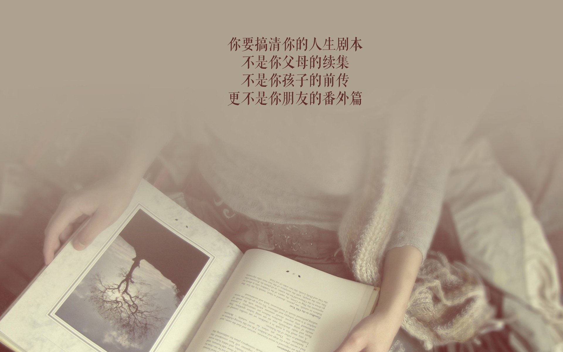 奇迹之夜的蓝色闪电，阿诺德掌舵，罗马尼亚撕裂格子军团的命运之网