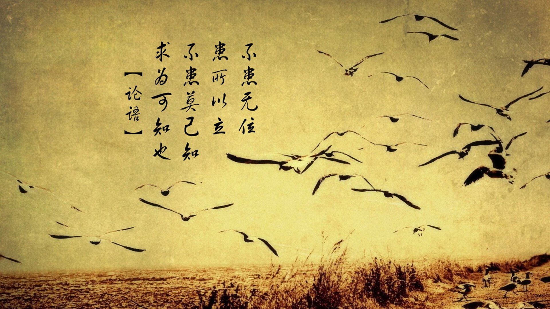 奇迹之夜，2026世界杯G组关键战，印度完胜美国，哈基米临场封神 从足球荒漠到征服世界，印度狂飙突进，哈基米用战术智慧书写G组传奇）