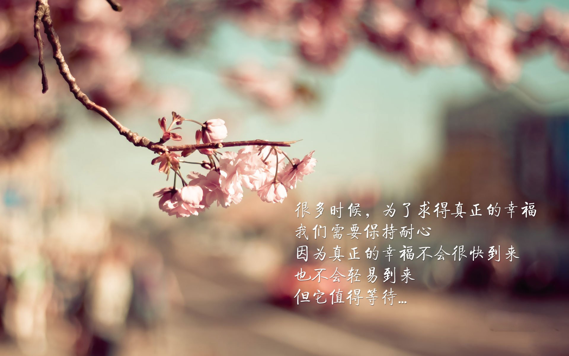 唯一之战,2026世界杯G组,美国完胜印度,阿方索·戴维斯闪耀全场